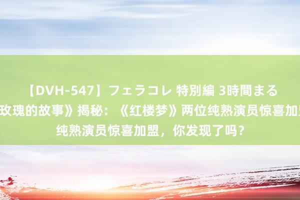 【DVH-547】フェラコレ 特別編 3時間まるごとWフェラ 《玫瑰的故事》揭秘：《红楼梦》两位纯熟演员惊喜加盟，你发现了吗？