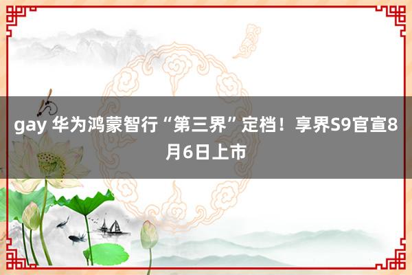 gay 华为鸿蒙智行“第三界”定档！享界S9官宣8月6日上市