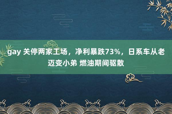 gay 关停两家工场，净利暴跌73%，日系车从老迈变小弟 燃油期间驱散