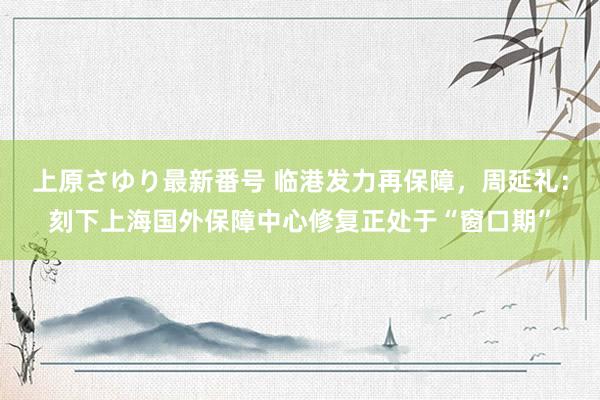 上原さゆり最新番号 临港发力再保障，周延礼：刻下上海国外保障中心修复正处于“窗口期”