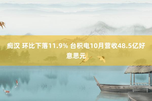 痴汉 环比下落11.9% 台积电10月营收48.5亿好意思元