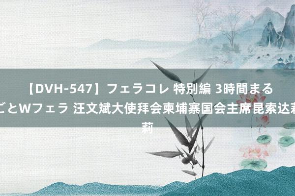 【DVH-547】フェラコレ 特別編 3時間まるごとWフェラ 汪文斌大使拜会柬埔寨国会主席昆索达莉