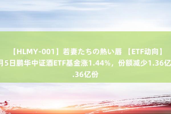 【HLMY-001】若妻たちの熱い唇 【ETF动向】8月5日鹏华中证酒ETF基金涨1.44%，份额减少1.36亿份