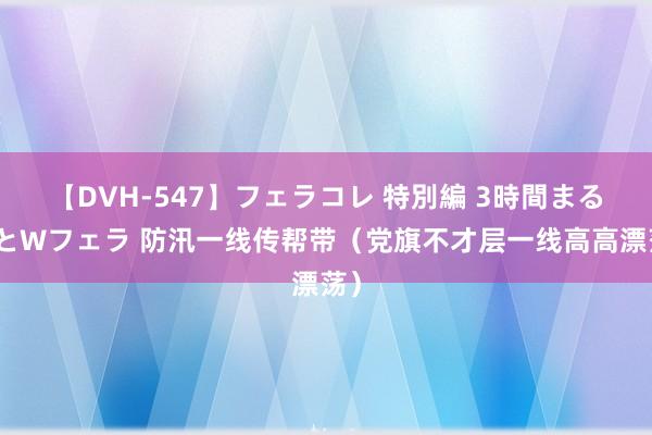 【DVH-547】フェラコレ 特別編 3時間まるごとWフェラ 防汛一线传帮带（党旗不才层一线高高漂荡）