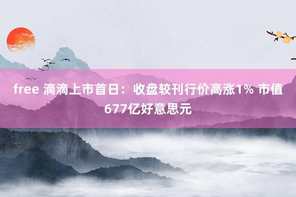 free 滴滴上市首日：收盘较刊行价高涨1% 市值677亿好意思元