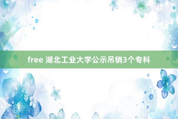 free 湖北工业大学公示吊销3个专科