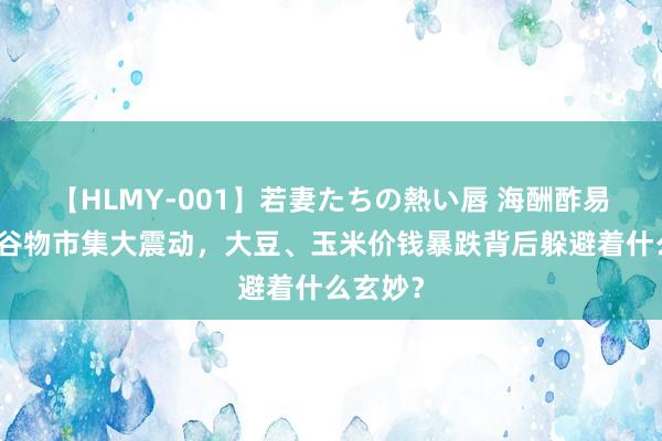 【HLMY-001】若妻たちの熱い唇 海酬酢易风向：谷物市集大震动，大豆、玉米价钱暴跌背后躲避着什么玄妙？