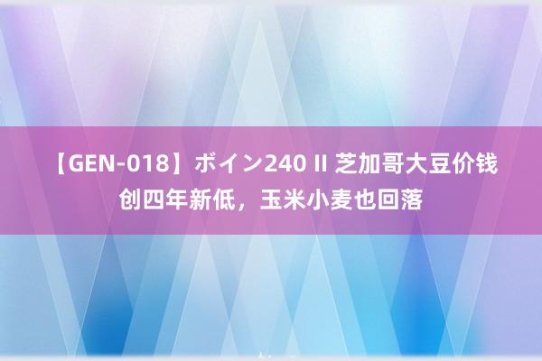 【GEN-018】ボイン240 II 芝加哥大豆价钱创四年新低，玉米小麦也回落