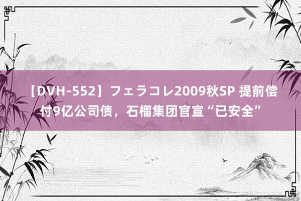 【DVH-552】フェラコレ2009秋SP 提前偿付9亿公司债，石榴集团官宣“已安全”