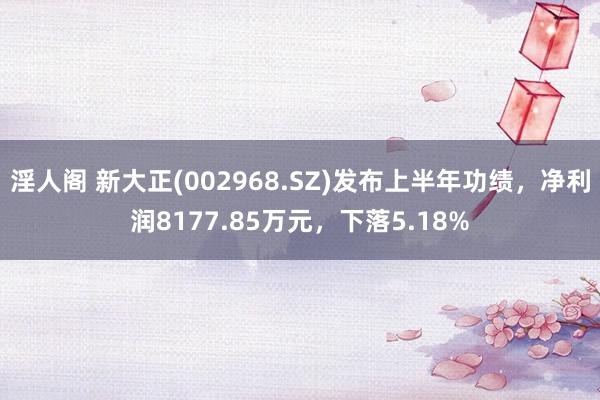 淫人阁 新大正(002968.SZ)发布上半年功绩，净利润8177.85万元，下落5.18%