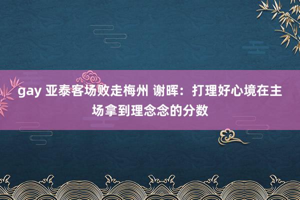 gay 亚泰客场败走梅州 谢晖：打理好心境在主场拿到理念念的分数