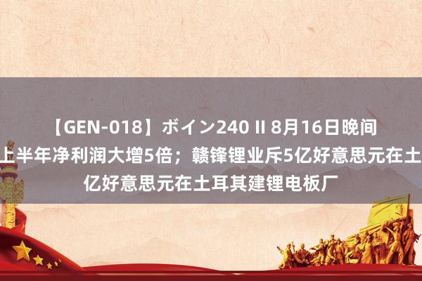 【GEN-018】ボイン240 II 8月16日晚间公告 | 上海机场上半年净利润大增5倍；赣锋锂业斥5亿好意思元在土耳其建锂电板厂