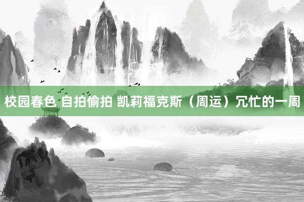 校园春色 自拍偷拍 凯莉福克斯（周运）冗忙的一周