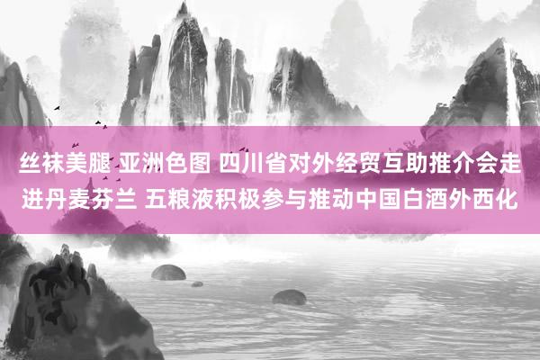 丝袜美腿 亚洲色图 四川省对外经贸互助推介会走进丹麦芬兰 五粮液积极参与推动中国白酒外西化