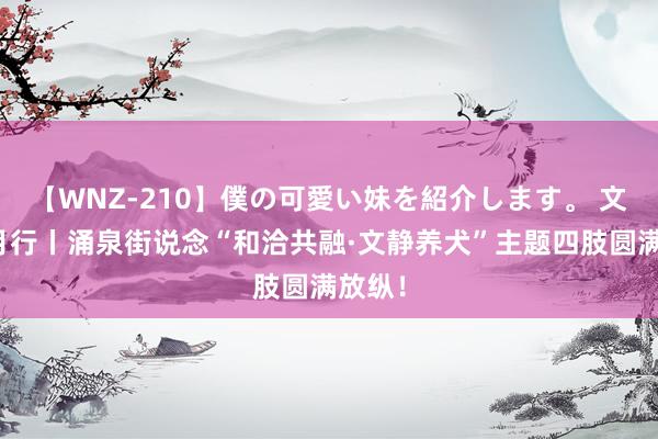 【WNZ-210】僕の可愛い妹を紹介します。 文静月月行丨涌泉街说念“和洽共融·文静养犬”主题四肢圆满放纵！