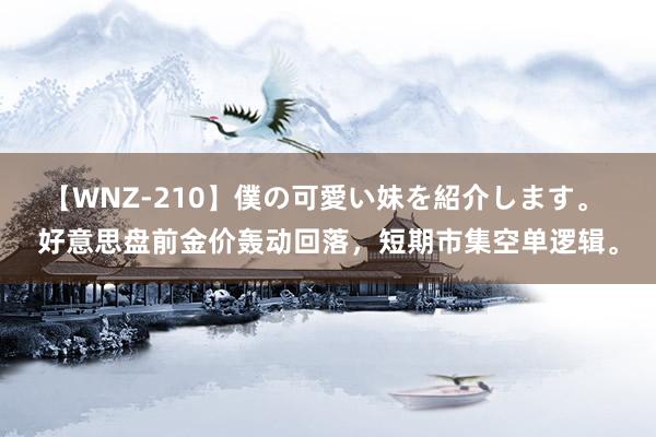 【WNZ-210】僕の可愛い妹を紹介します。 好意思盘前金价轰动回落，短期市集空单逻辑。