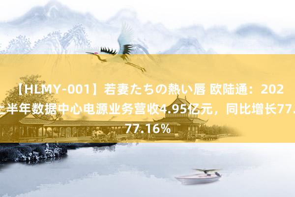 【HLMY-001】若妻たちの熱い唇 欧陆通：2024年上半年数据中心电源业务营收4.95亿元，同比增长77.16%