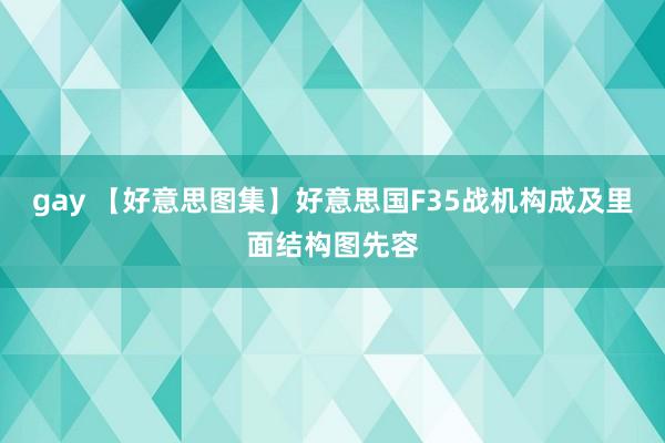 gay 【好意思图集】好意思国F35战机构成及里面结构图先容