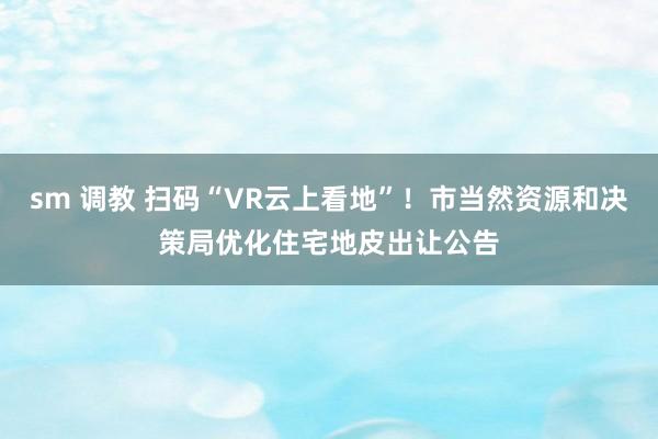 sm 调教 扫码“VR云上看地”！市当然资源和决策局优化住宅地皮出让公告