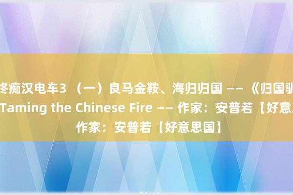 最终痴汉电车3 （一）良马金鞍、海归归国 —— 《归国驯火记》 Taming the Chinese Fire —— 作家：安普若【好意思国】