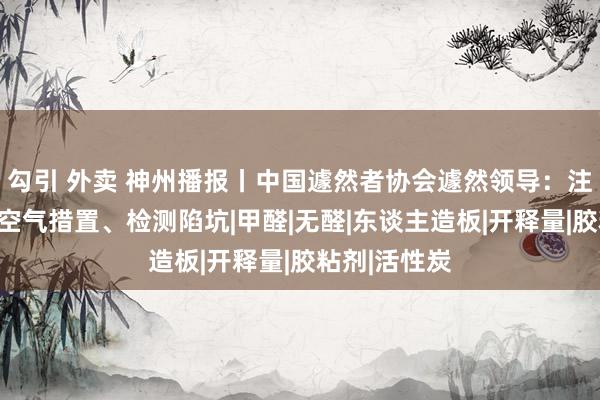 勾引 外卖 神州播报丨中国遽然者协会遽然领导：注浮现别室内空气措置、检测陷坑|甲醛|无醛|东谈主造板|开释量|胶粘剂|活性炭